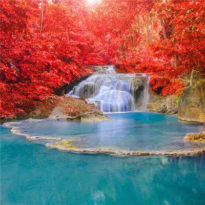 风云江湖行手游(暂未上线)v1.8 安卓版